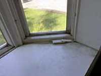 bay-window (6)